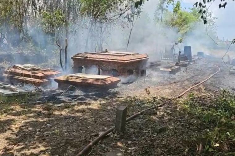 Felle brand bij Oranjetuin na bestrijding Braziliaanse bijen