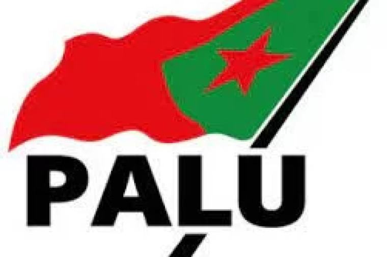 PALU: Vissterfte Saramaccarivier geen incident, maar nationale ramp